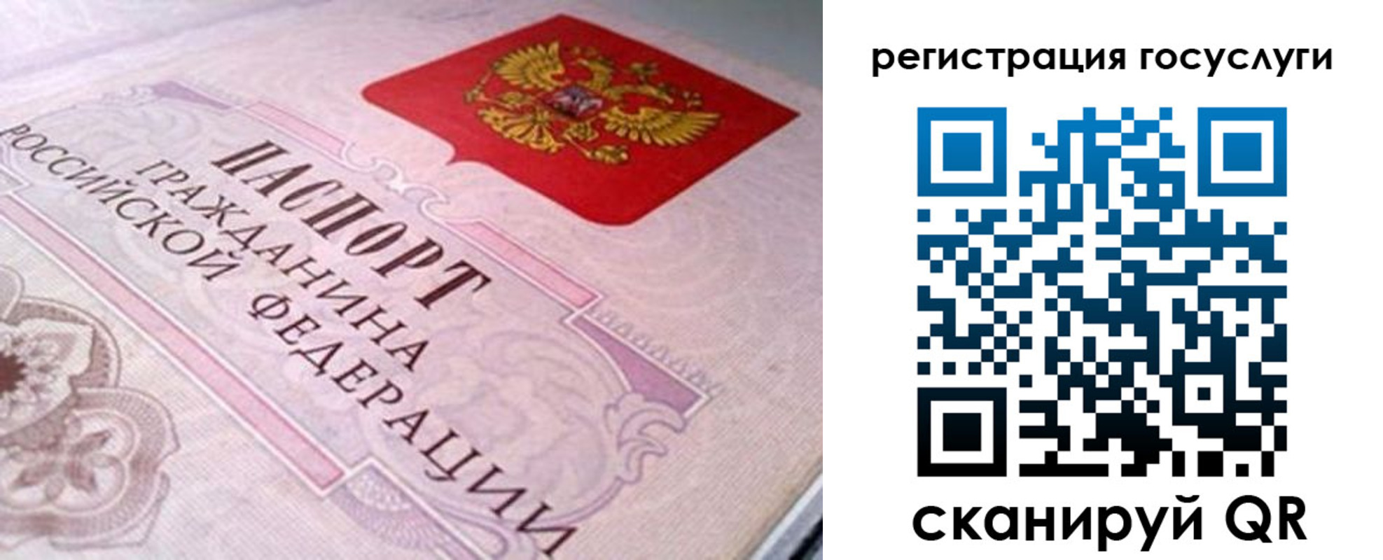 где прописаться в Поворино